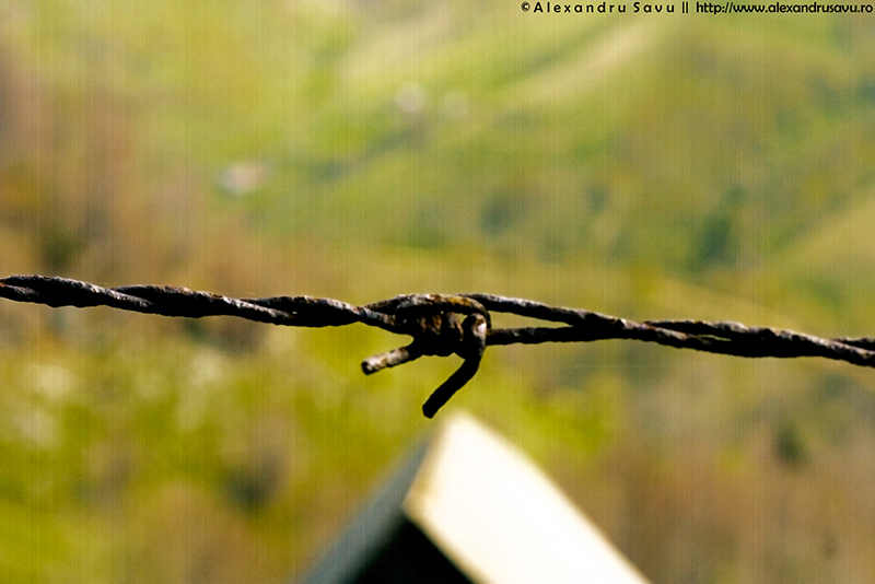 Barb wire