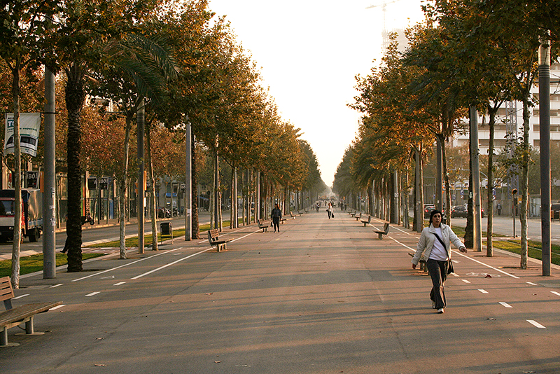 Romania, year 2050... NOT!
