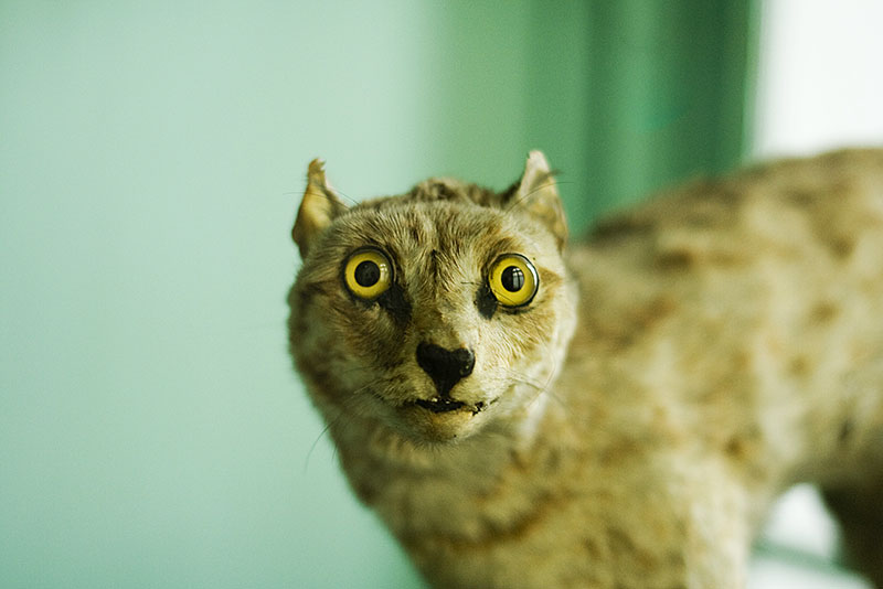 Gradina Zoologica Bucuresti anul 200x (part one)