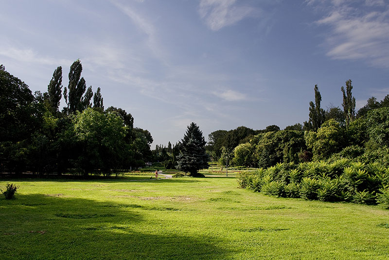 A walk in the park
