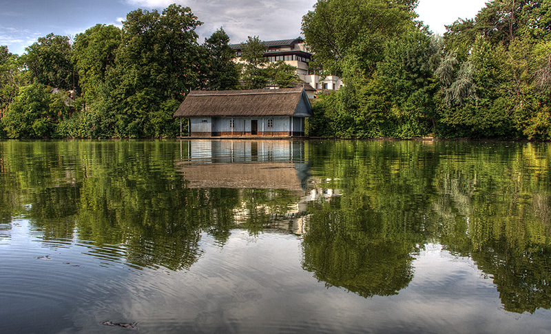 The famous house from the park