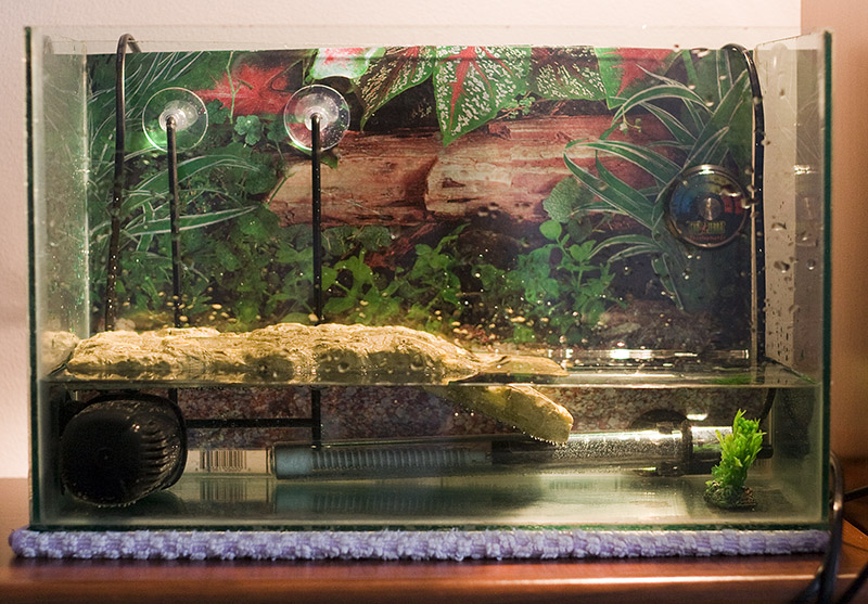 New home