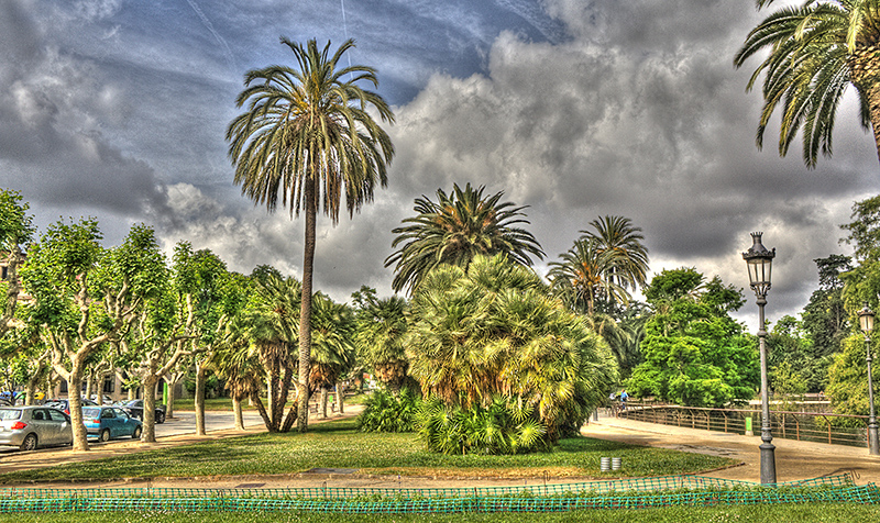 Ciutadella Park #02