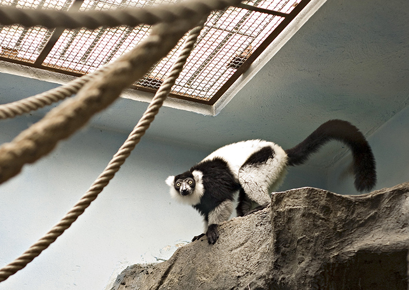 Barcelona Zoo #04