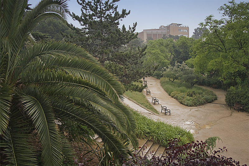 Park Guell #01
