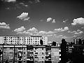 Pur și simplu alb negru || Plain and simple black and white