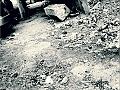 Bucharest...falling