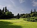 A walk in the park