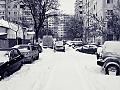 Can I has winter ?