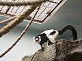 Barcelona Zoo #04